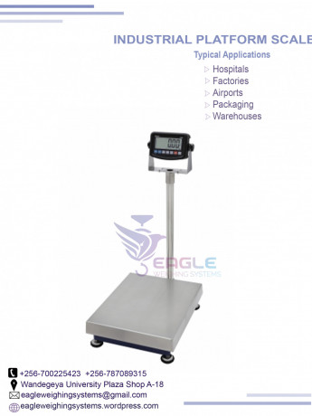 do-you-need-a-weighing-scale-big-0