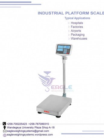 electronic-industrial-platform-scales-big-0