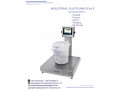 digital-electronic-platform-weighing-scales-small-0