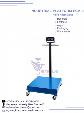 platform-weighing-scales-supplier-in-entebbe-big-0