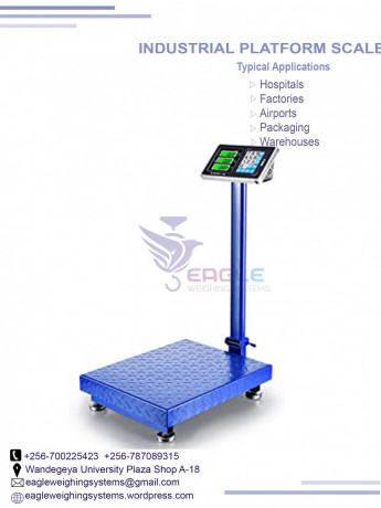 bench-weighing-digital-platform-scales-big-0