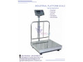 300kg-electronic-digital-industrial-platforms-kampala-small-0