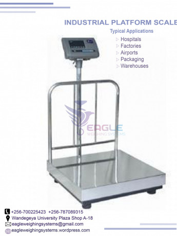 300kg-electronic-digital-industrial-platforms-kampala-big-0