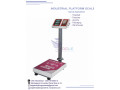 electronic-price-computing-platform-scales-small-0