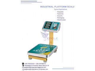 Portable electronic weigh scale