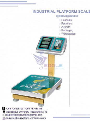 portable-electronic-weigh-scale-big-0