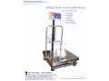 eagle-scales-300-kg-platforms-in-kampala-small-0