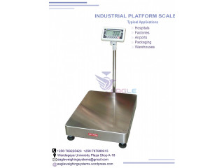 Stainless Steel Digital Electronic scales