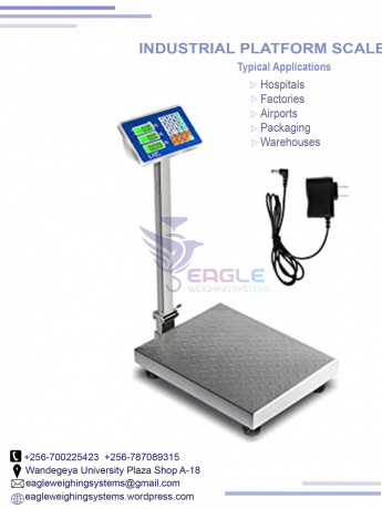 weighing-balance-platform-weighing-scale-big-0