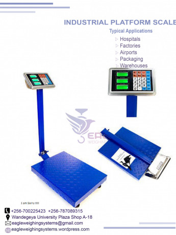 electronic-platform-weighing-digital-scalebalance-big-0