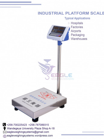 digital-weighing-scales-big-0