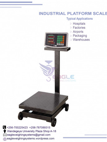 platform-weighing-scale-big-0