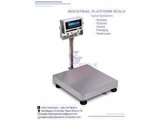 Industrial Platform weighing scale