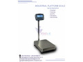 eagle-digital-platform-scales-small-0