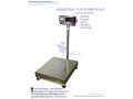 platform-balance-weighing-scales-small-0