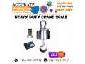 stainless-steel-crane-weighing-scales-namanve-small-0