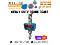 stainless-steel-hook-hanging-crane-weighing-scales-kaliro-uganda-small-0