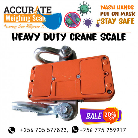 movable-heavy-duty-crane-weighing-scales-butaleja-uganda-big-0