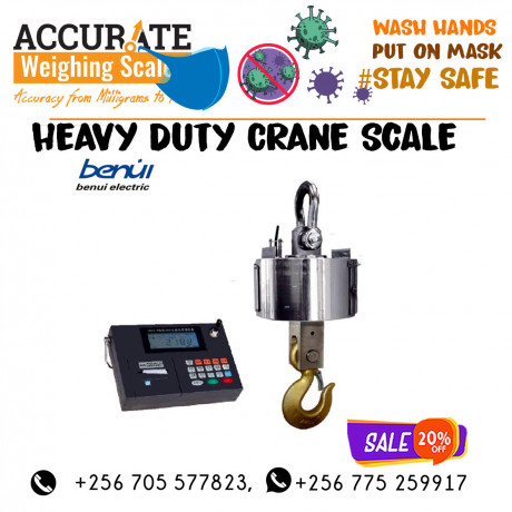 retail-commercial-crane-hanging-weighing-scales-kyotera-uganda-big-0