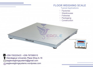 Electronic Commercial floor weighing scales