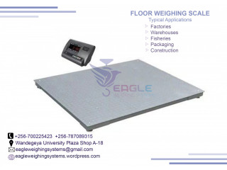 Electronic Weighing floor Scales