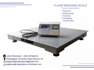 Floor electronic weigh scale