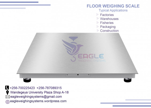 electronic-floor-weighing-scale-big-0