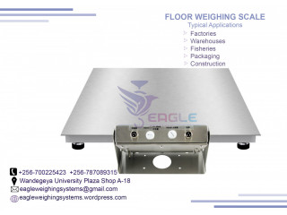 Electronic platform weighing digital floor scale/balance