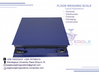 Food Industries floor scale