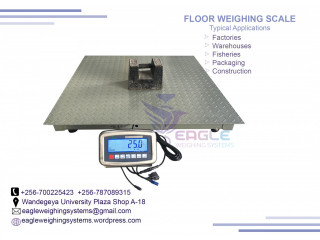 Milk Depots floor scale