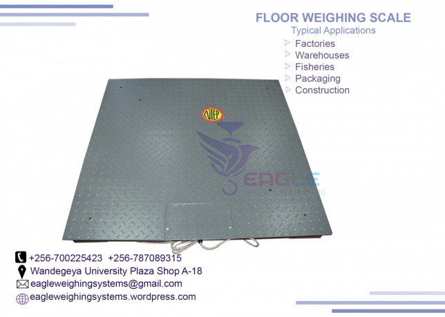 coir-pith-weighing-floor-scale-big-0
