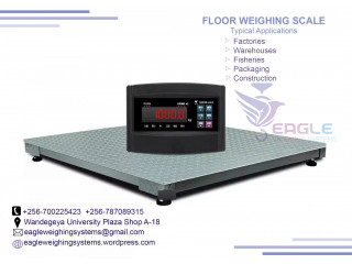 Pharmaceutical Industries floor scale