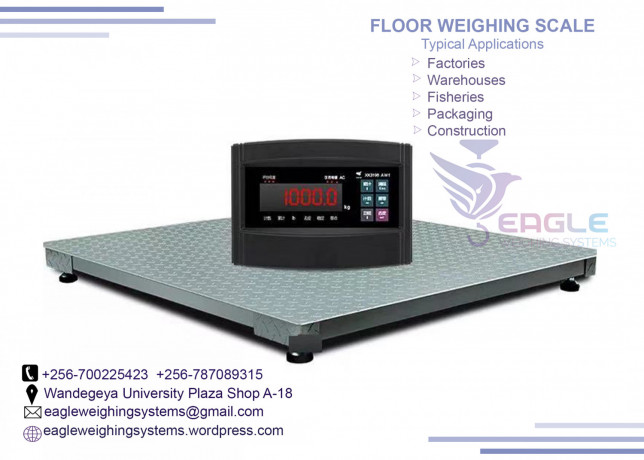 pharmaceutical-industries-floor-scale-big-0