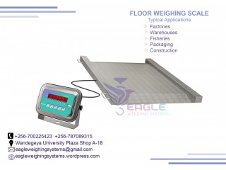 Food Storages floor scale