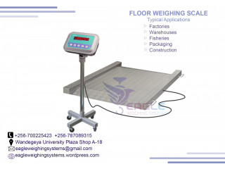 Chemical Factories floor scale