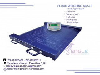 Packers & Movers floor scale