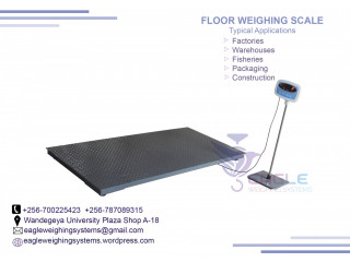 3000kg Digital Platform weighing scale