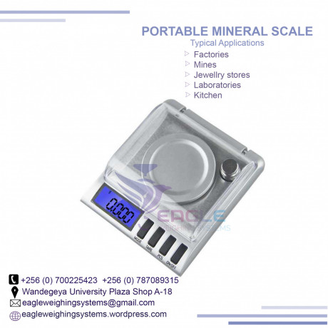 mineral-portable-weighing-scale-in-kampala-big-0