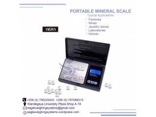 LCD mini digital portable weighing scale