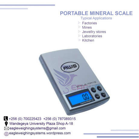 portable-weighing-scale-kampala-big-0