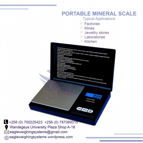 professional-mini-001-x-300g-portable-scales-in-kampala-big-0