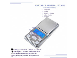 500g/0.01g Portable Electronic Scale with Windshield