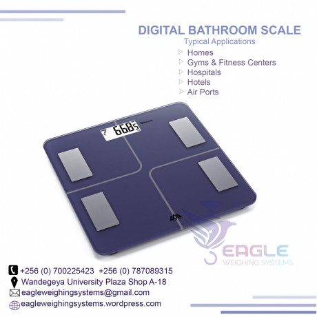 family-bathroom-scale-big-0