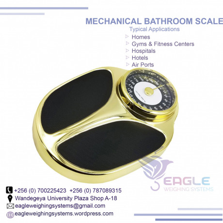 bathroom-weighing-scales-for-spa-saloons-big-0
