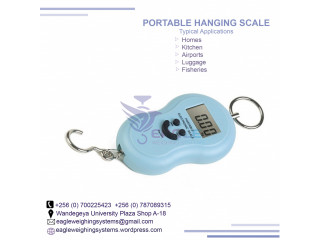 50kg Portable scale