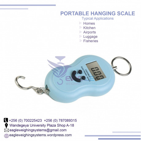 50kg-portable-scale-big-0