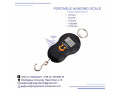 travel-hanging-scale-small-0
