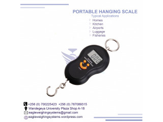 Travel hanging scale