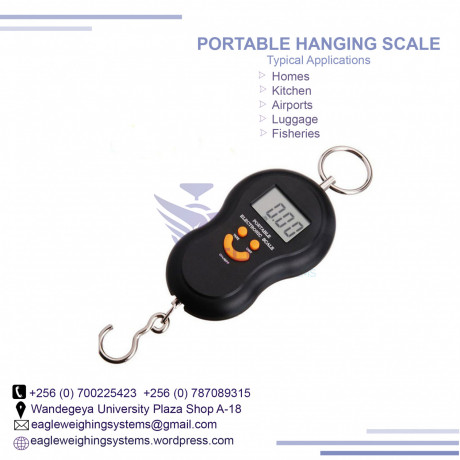 travel-hanging-scale-big-0
