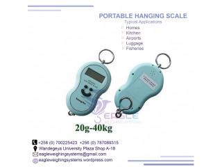 Luggage scale